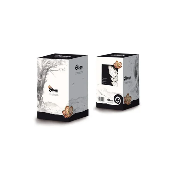 LES FEES D'OLIVIER LEDROIT: AURORE - statuette résine 15 cm