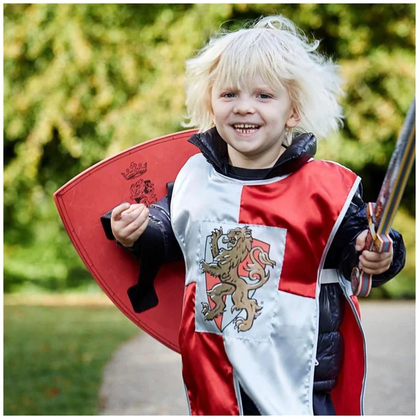 Liontouch - Prince Lionheart Cape - The Prince Lionheart Line - Pretend Professions & Role Playing