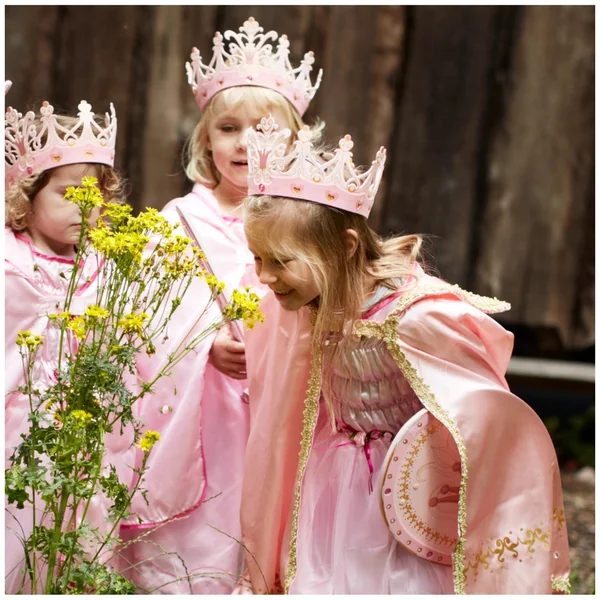 Liontouch - Queen Sword - The Queen Rosa Line - Pretend Professions & Role Playing