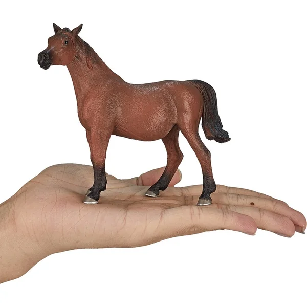 Ma jument arabe gestante