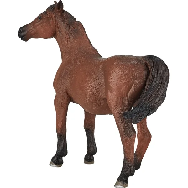 Ma jument arabe gestante