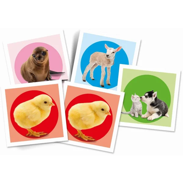 MEMO - BEBES ANIMAUX