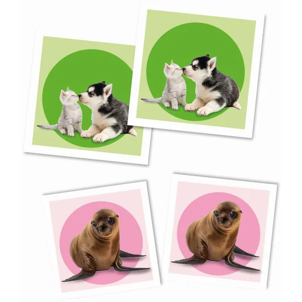 MEMO - BEBES ANIMAUX