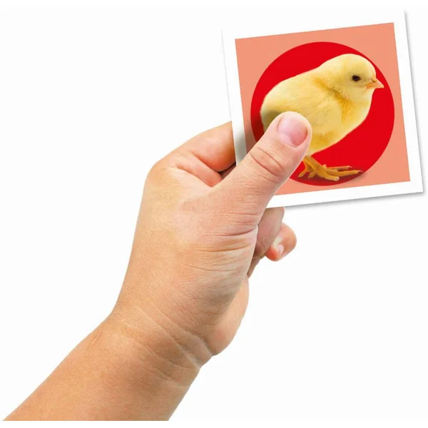 MEMO - BEBES ANIMAUX