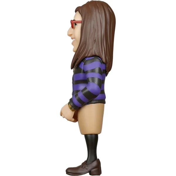 MINIX Série TV : Théorie du Big Bang - Amy