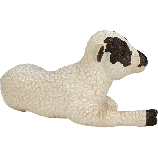 Mon Agneau Hampshire couché