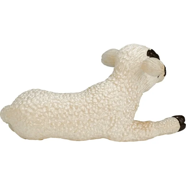 Mon Agneau Hampshire couché