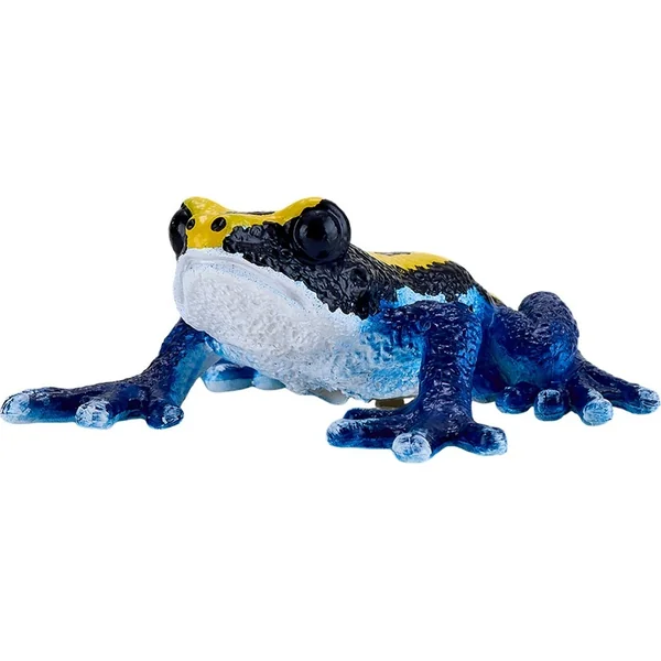 Mon Dendrobate tinctorius