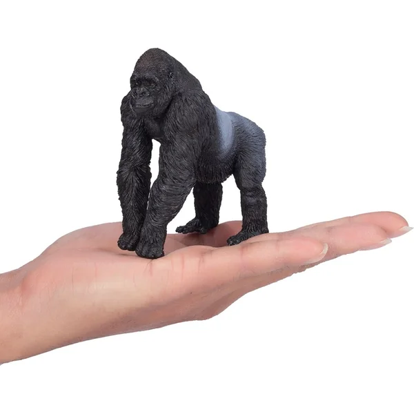 Mon Gorille dos argenté mâle