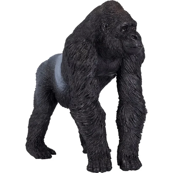 Mon Gorille dos argenté mâle