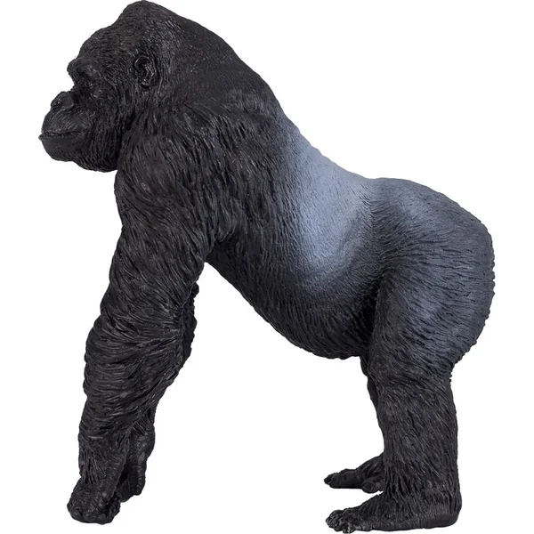 Mon Gorille dos argenté mâle