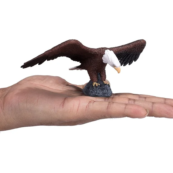 Mon Pygargue à tête blanche