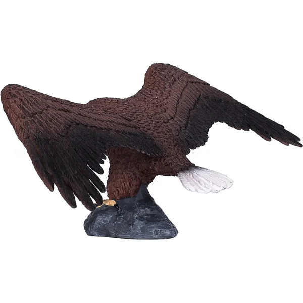 Mon Pygargue à tête blanche