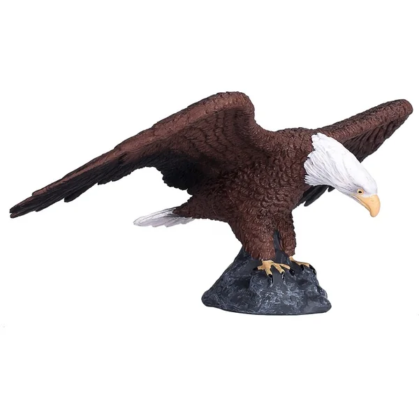 Mon Pygargue à tête blanche