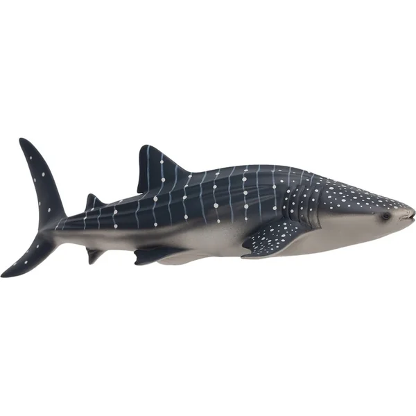 Mon Requin baleine
