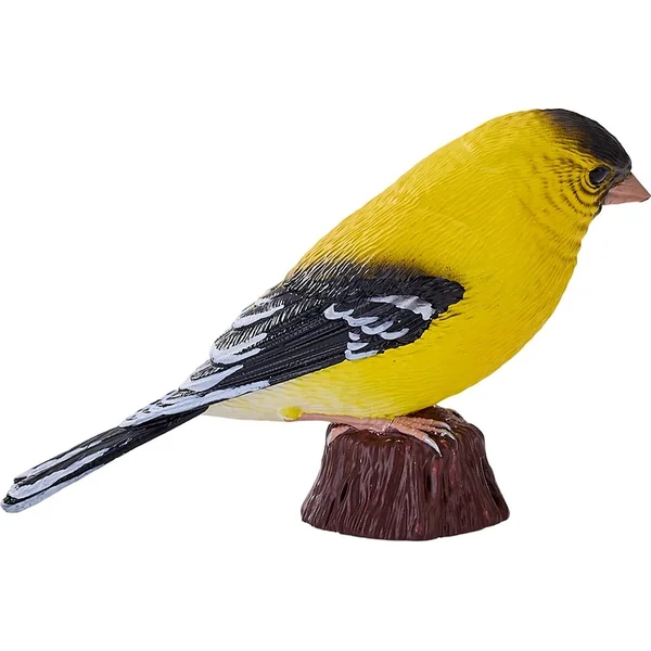 Mon Tarin des aulnes