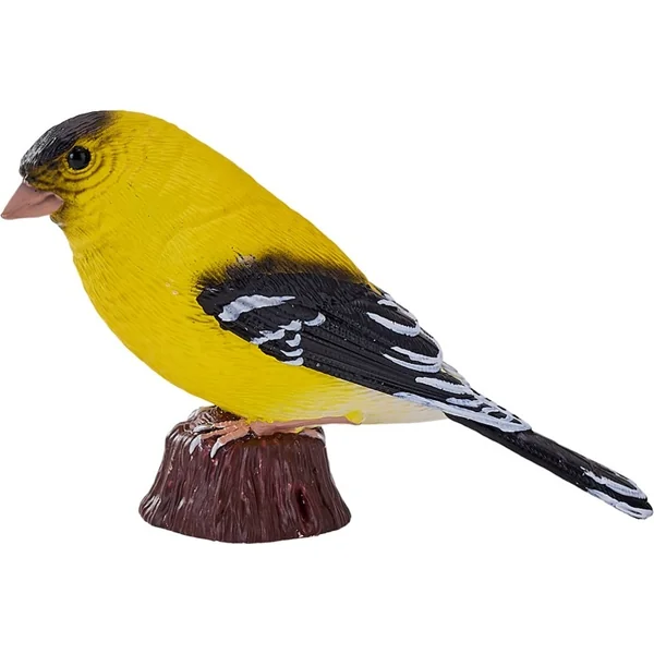 Mon Tarin des aulnes