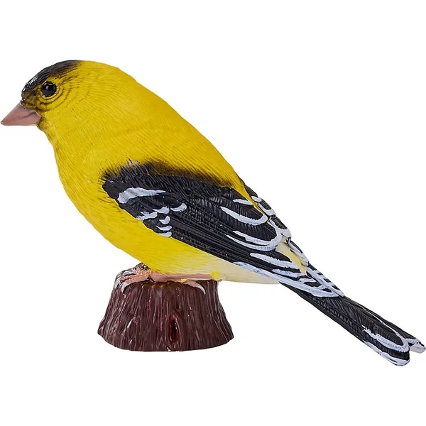 Mon Tarin des aulnes