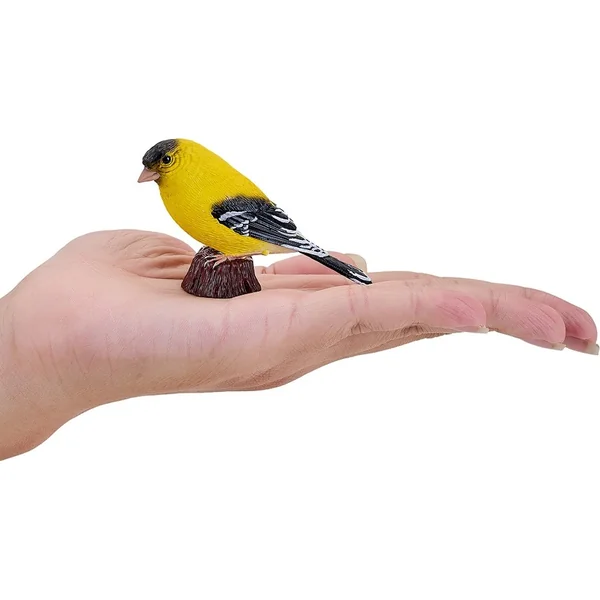 Mon Tarin des aulnes