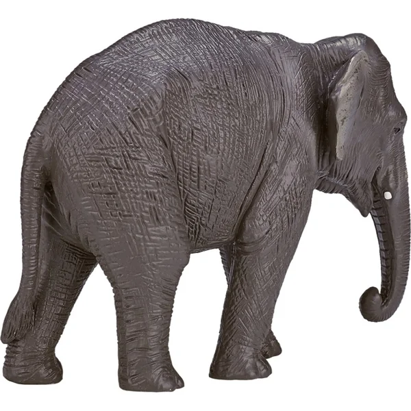 Mon éléphant indien