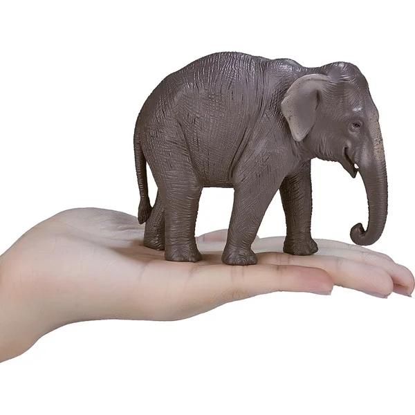 Mon éléphant indien