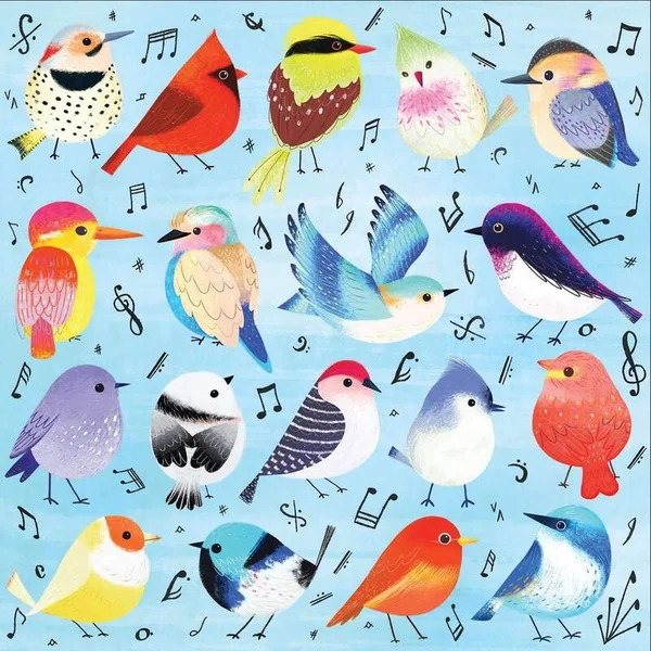 Mudpuppy Puzzle Oiseaux chanteurs 500 pièces