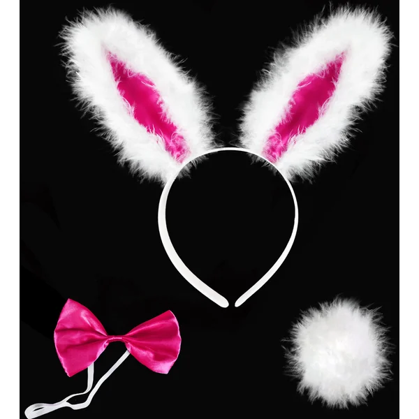 Oreilles de lapin + nœud papillon