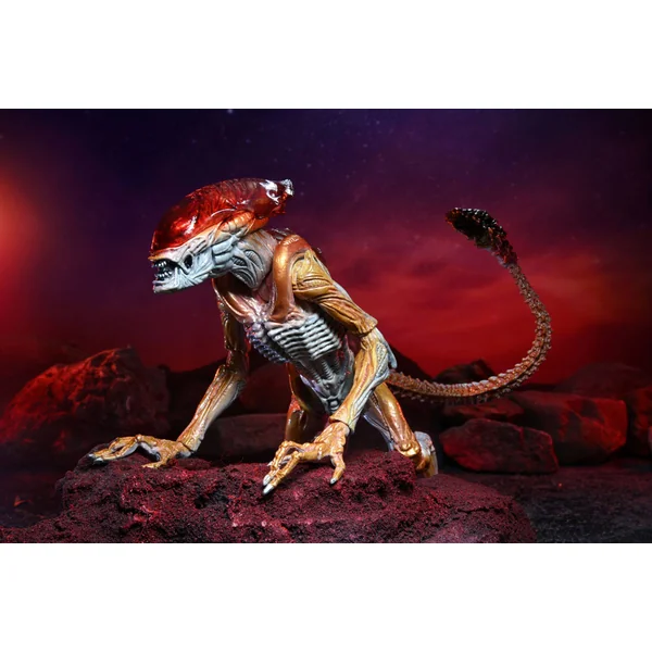 Panther Alien figurine Aliens Kenner Tribute Neca 23 cm