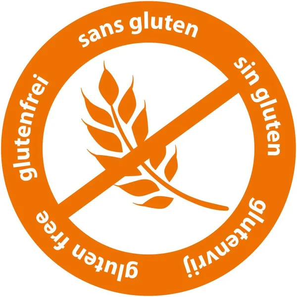 PATE A MODELER - CIRCULATION