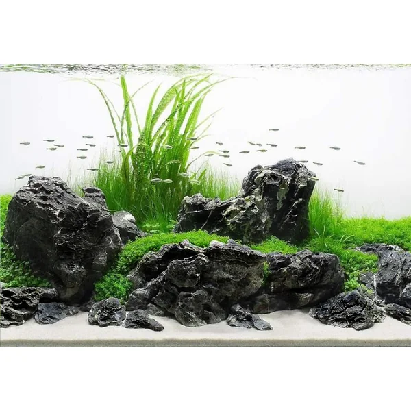 Pierre Dark Seiryu MIX carton 10kg