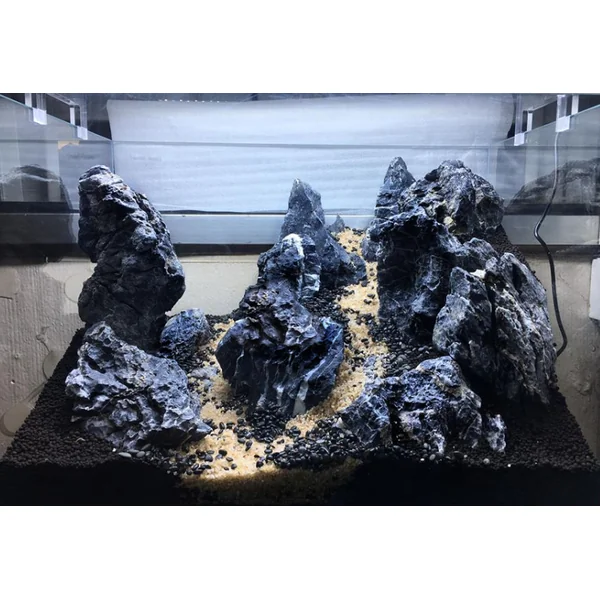 Pierre Dark Seiryu MIX carton 10kg