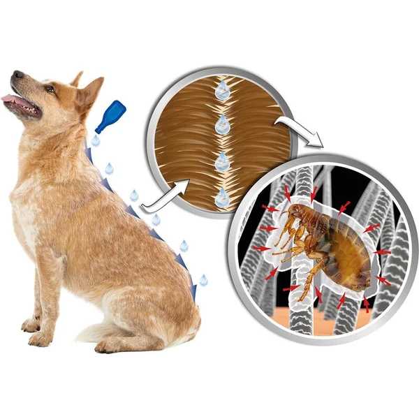 Pipette Beaphar Line-on IMMO Shield chien S 3x1,5ml