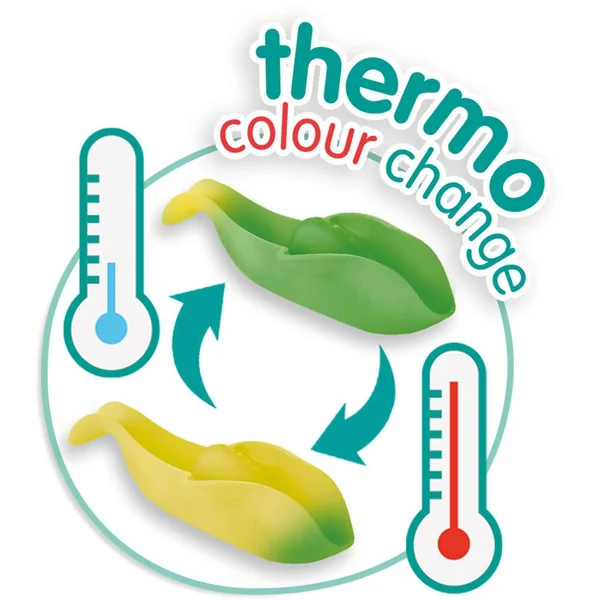 POISSONS A COULEURS CHANGEANTES POUR LE BAIN