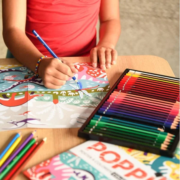 POPPIK PANORAMA A COLORIER - LES DINOSAURES