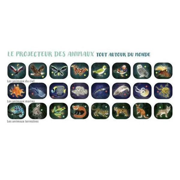 PROJECTEUR DES ANIMAUX USB TOUT AUTOUR DU MONDE