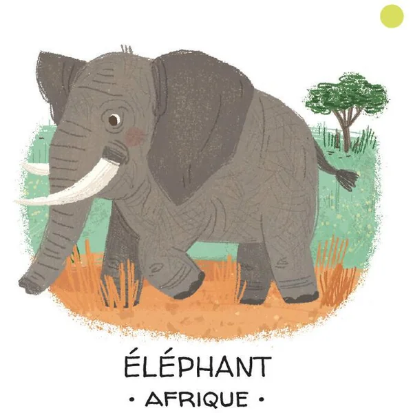 PROTEGEONS LES ANIMAUX. DESERTS ET SAVANES