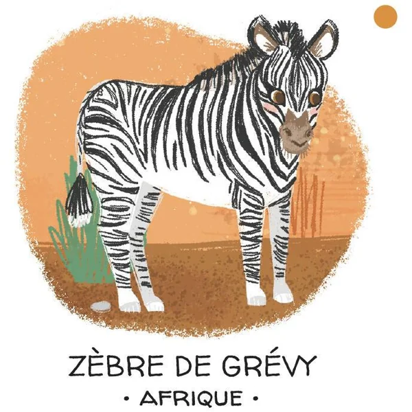 PROTEGEONS LES ANIMAUX. DESERTS ET SAVANES