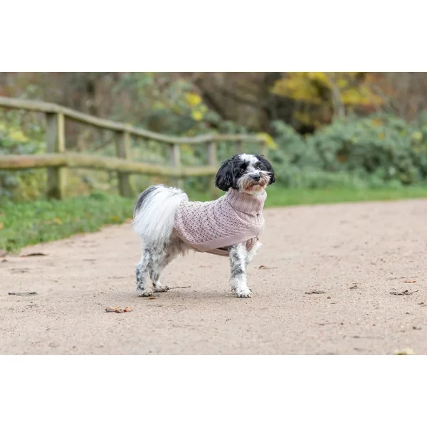 Pull Trixie Norwood, XS, rose, 27 cm