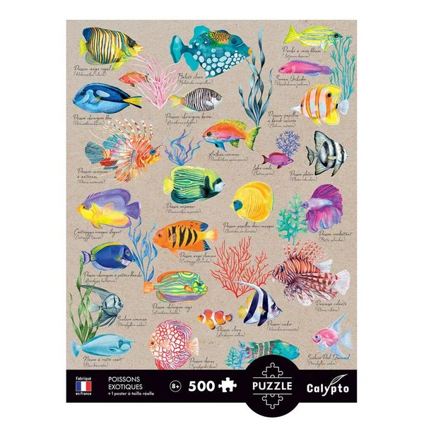 PUZZLE 500 PIECES - POISSONS EXOTIQUES