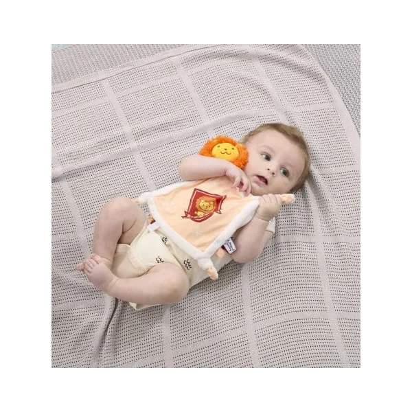 Rainbow Harry Potter Peluche Gryffondor