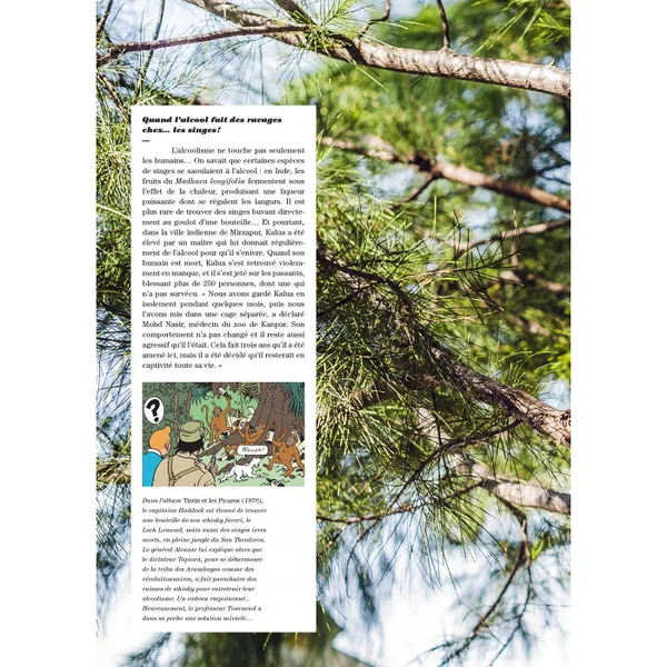 Revue TINTIN C'EST L'AVENTURE N°11, Fascinants animaux - Fév. - Avril 2022