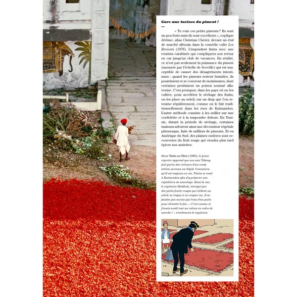 Revue TINTIN C'EST L'AVENTURE N°11, Fascinants animaux - Fév. - Avril 2022