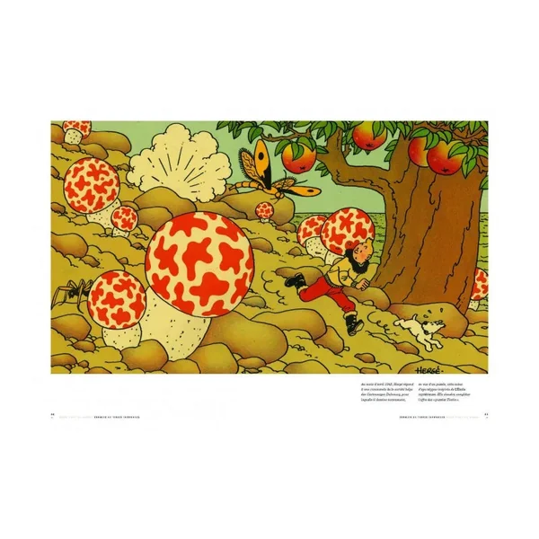 Revue TINTIN C'EST L'AVENTURE N°23 - Fév. - Avril 2025 Tintin et les pays imaginaires