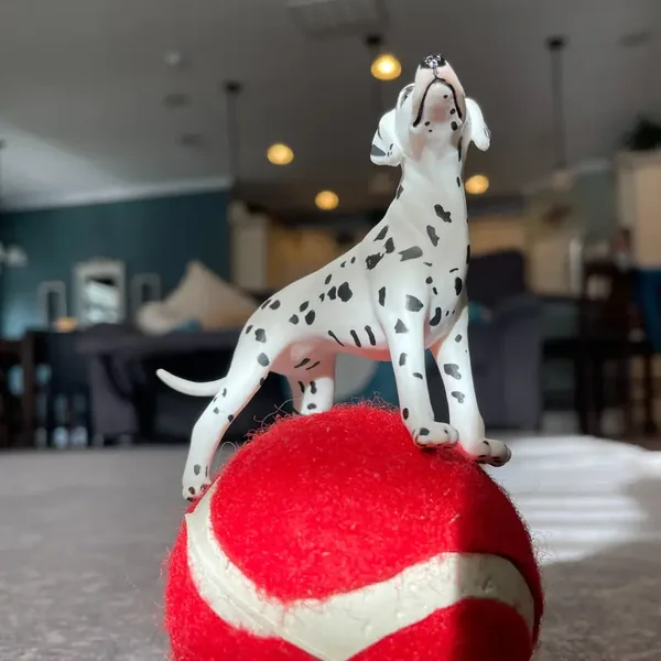 Safari® Chien Dalmatien