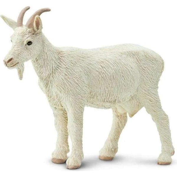 Safari® Chèvre domestique