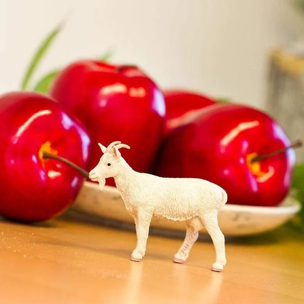 Safari® Chèvre domestique