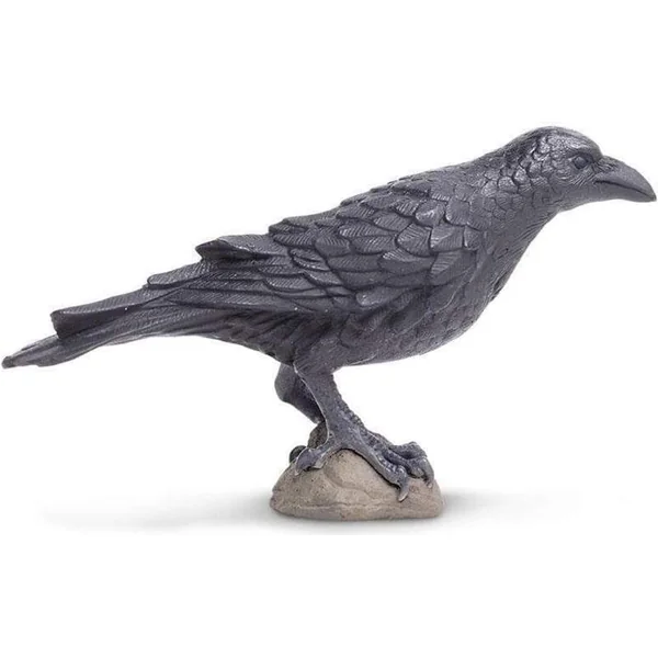 Safari® Corbeau