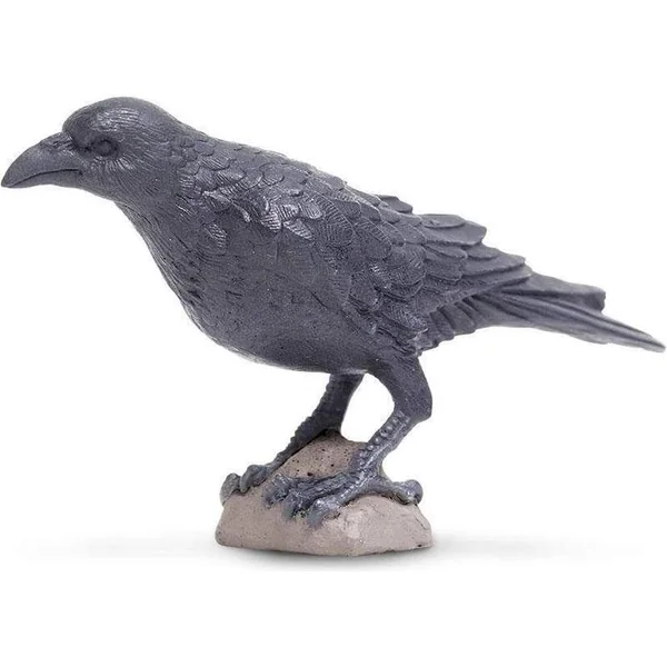 Safari® Corbeau