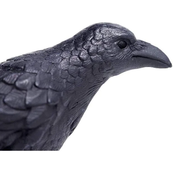 Safari® Corbeau