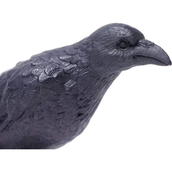 Safari® Corbeau